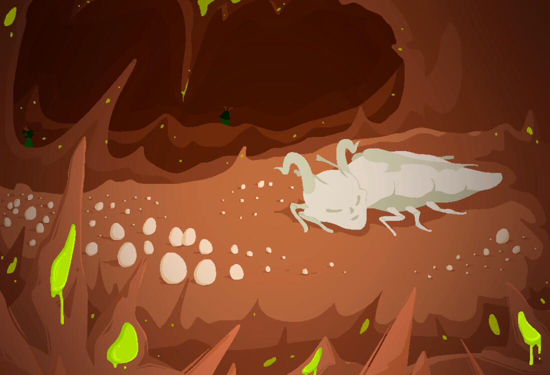 full detail illustration